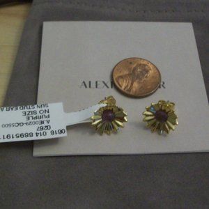 ALEXIS BITTAR: Vitreum 14K Yellow Goldplated & Amethyst Sun Stud Earrings